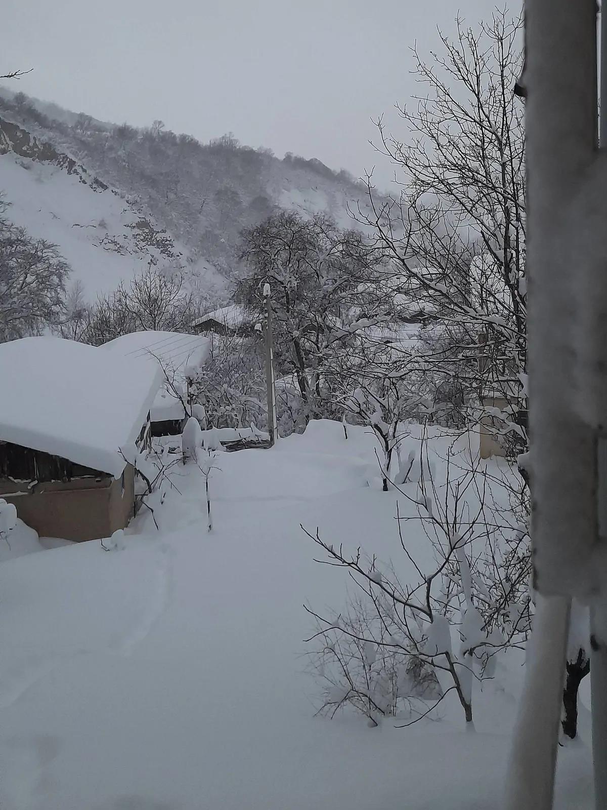 سوییت جنگلی آرشام علی آباد کتول