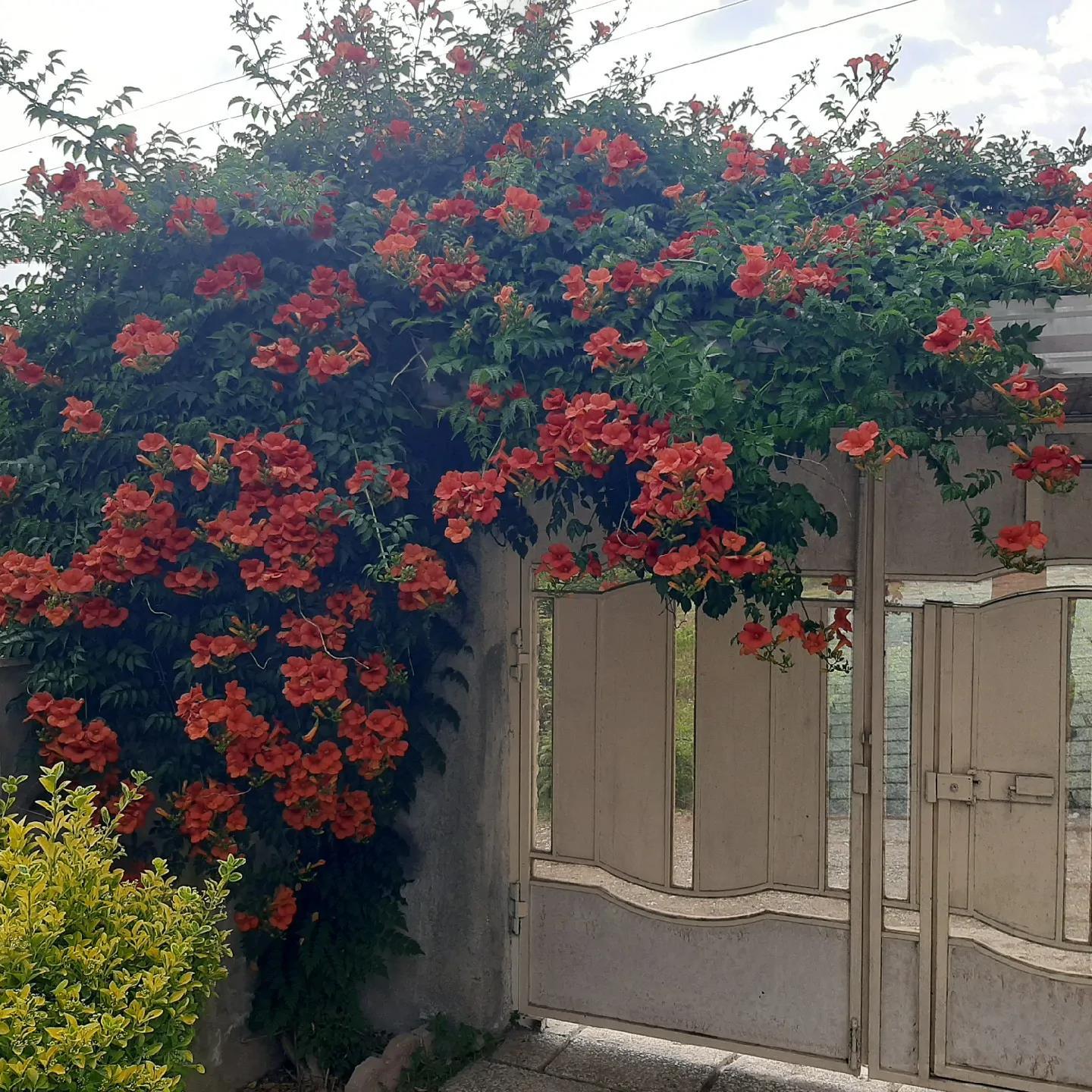 کلبه دوبلکس جکوزی دار گلبانو شیرگاه
