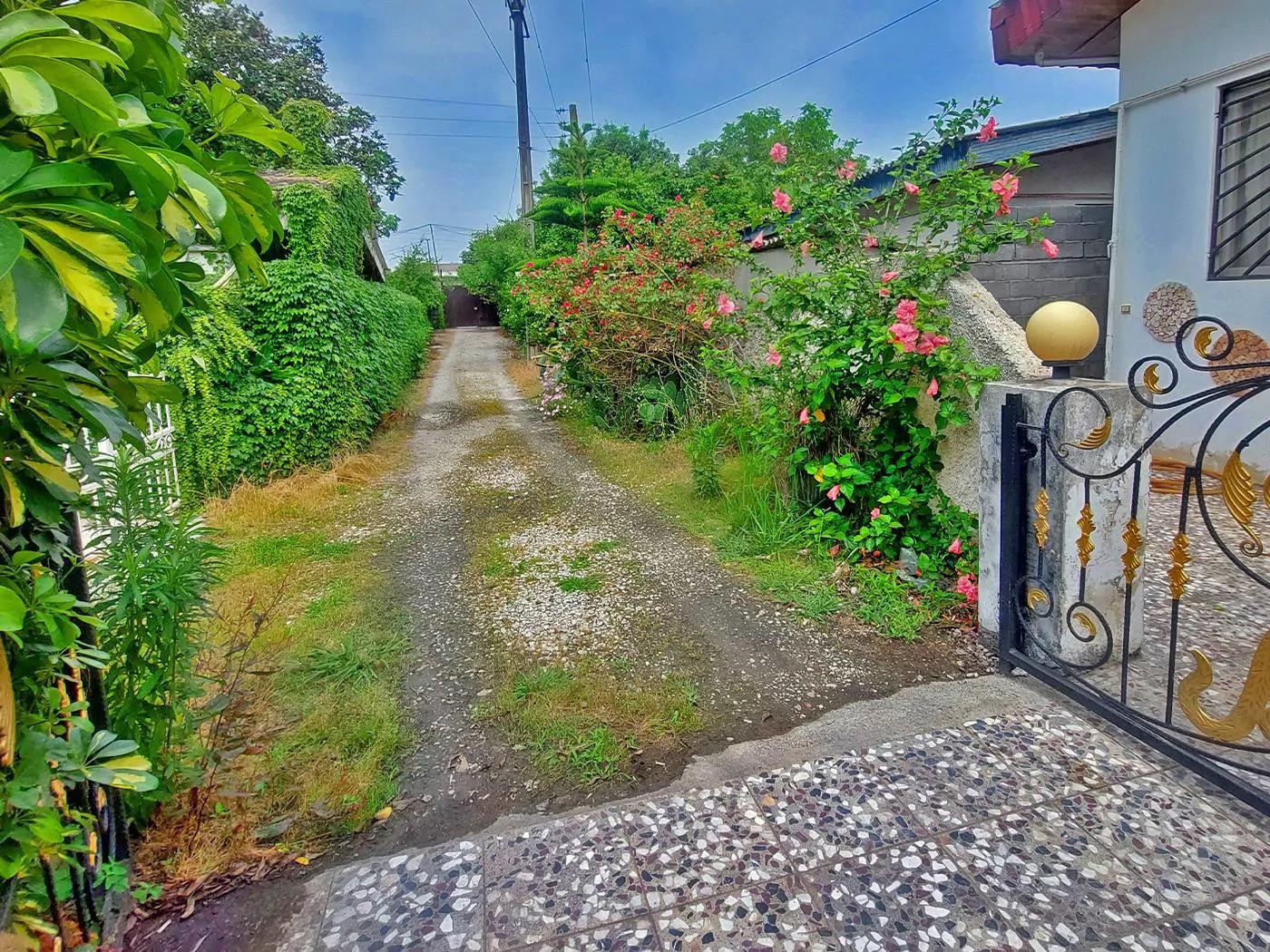 ویلا کاکتوس متل قو