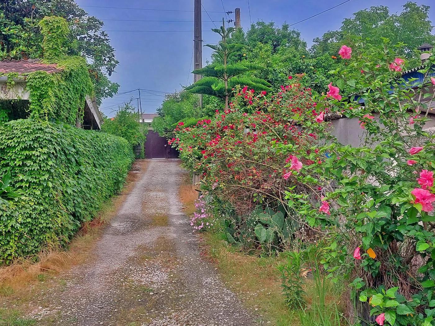 ویلا کاکتوس متل قو