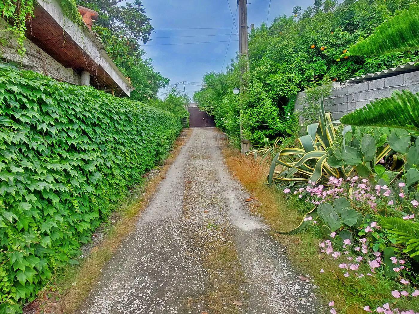 ویلا کاکتوس متل قو