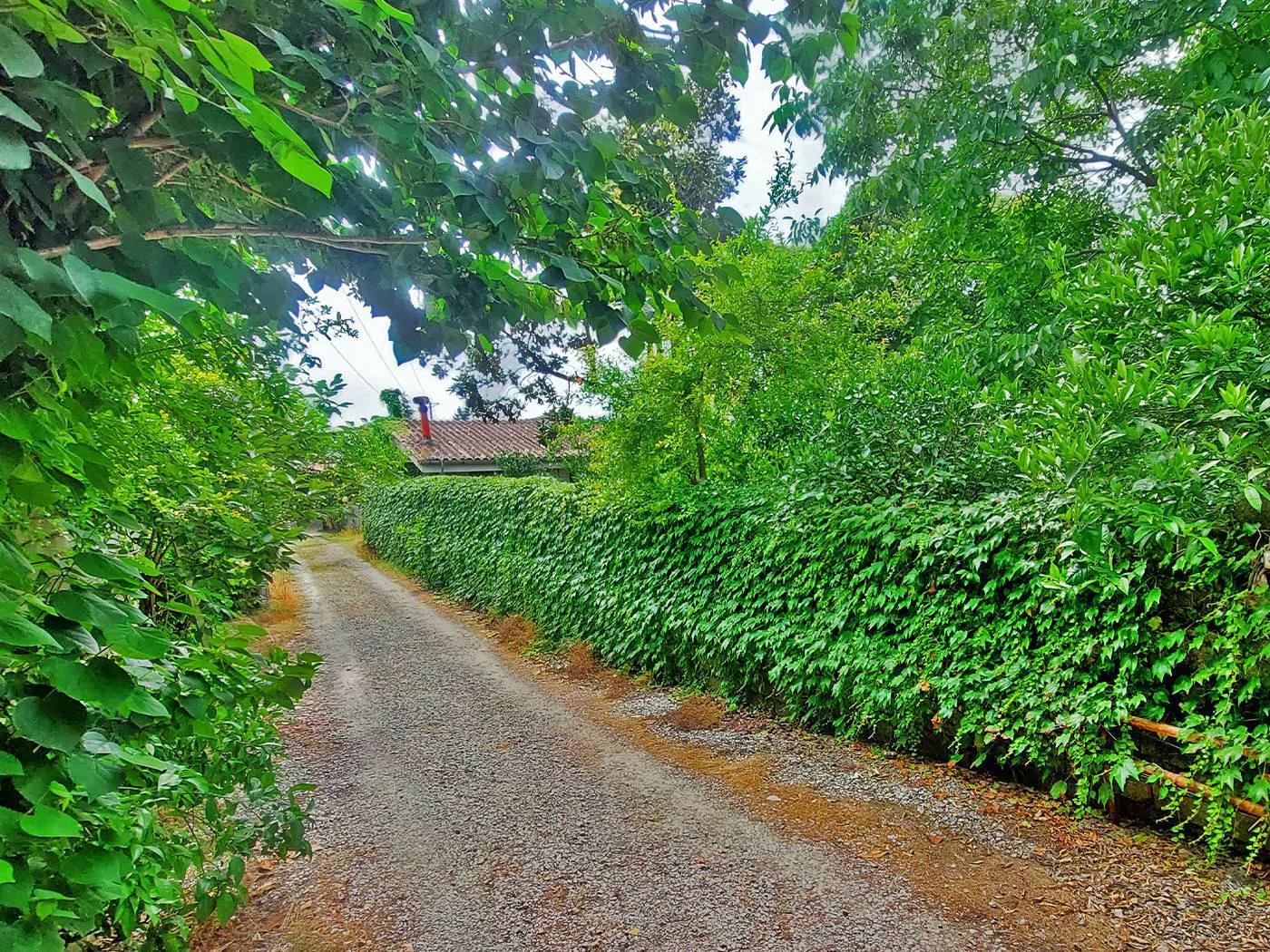 ویلا کاکتوس متل قو