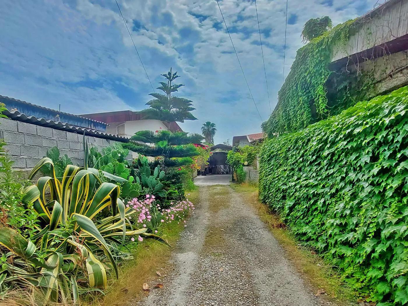 ویلا کاکتوس متل قو