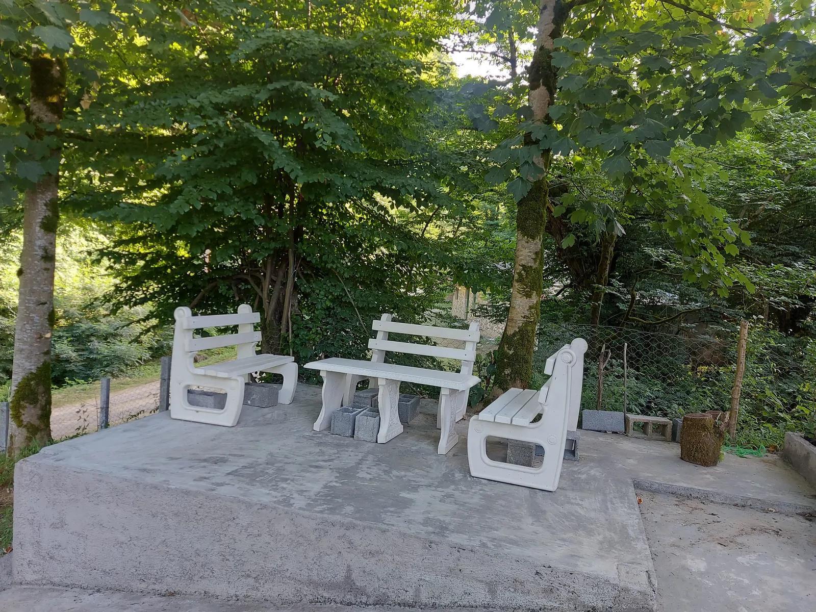 ویلا جنگلی چناری رشت
