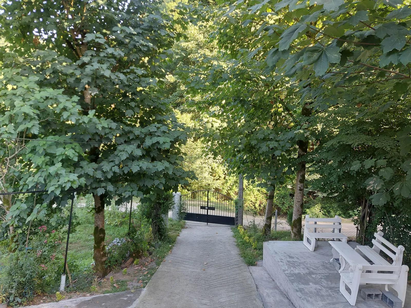 ویلا جنگلی چناری رشت