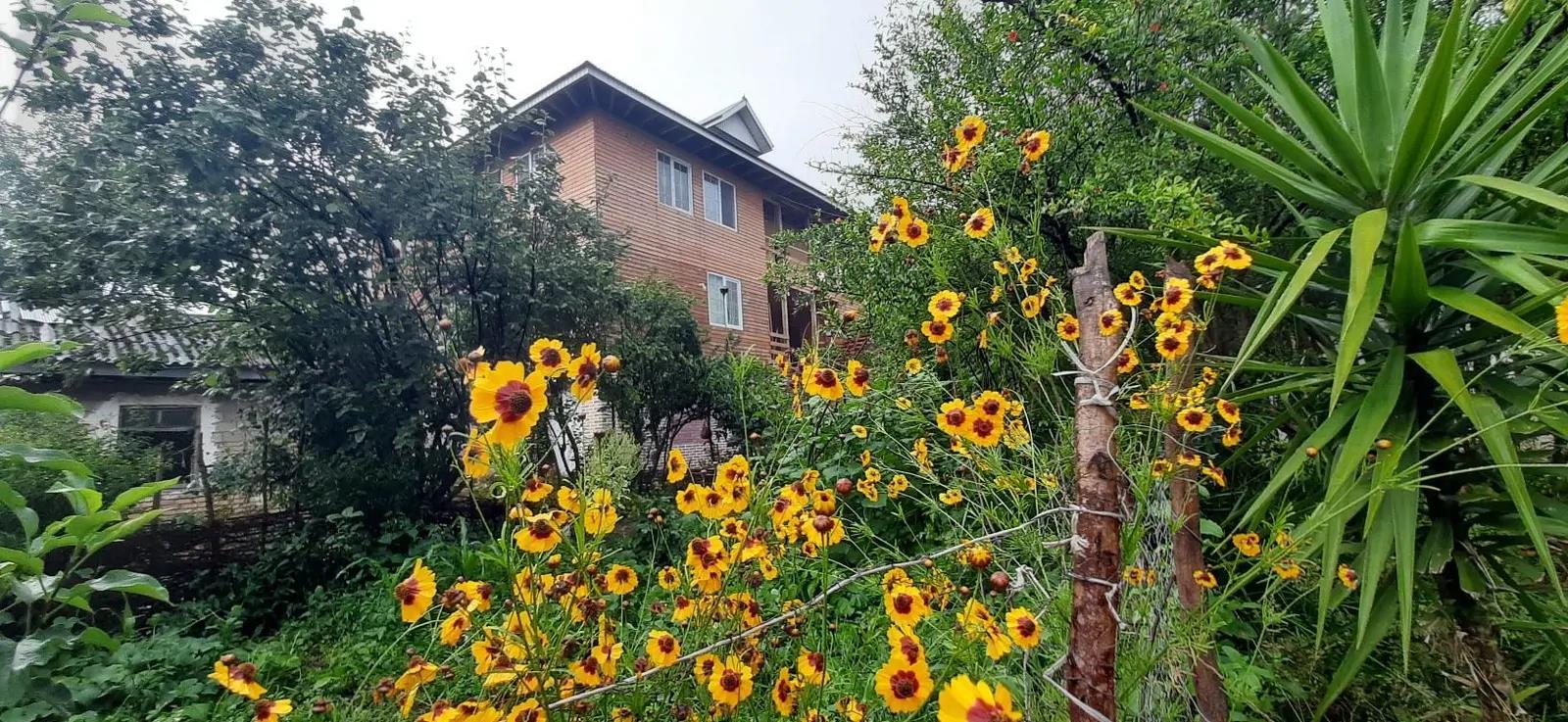 کلبه جنگلی پارسا (۳) ماسال