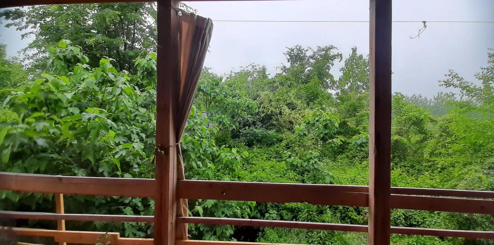 کلبه جنگلی پارسا (۳) ماسال