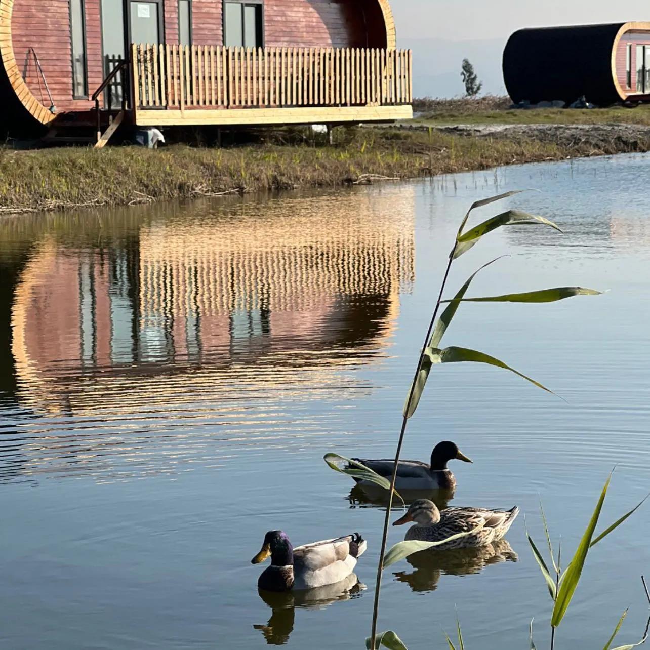 کلبه کپسولی (2) با صبحانه رایگان بهشهر