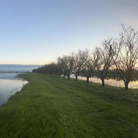 کلبه کپسولی (2) با صبحانه رایگان بهشهر