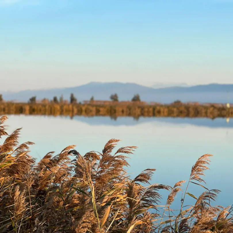 کلبه کپسولی (2) با صبحانه رایگان بهشهر