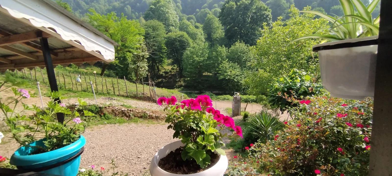 ویلا حسنجانی ماسال