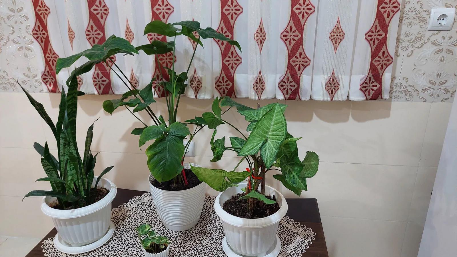 آپارتمان صدقی بهشهر