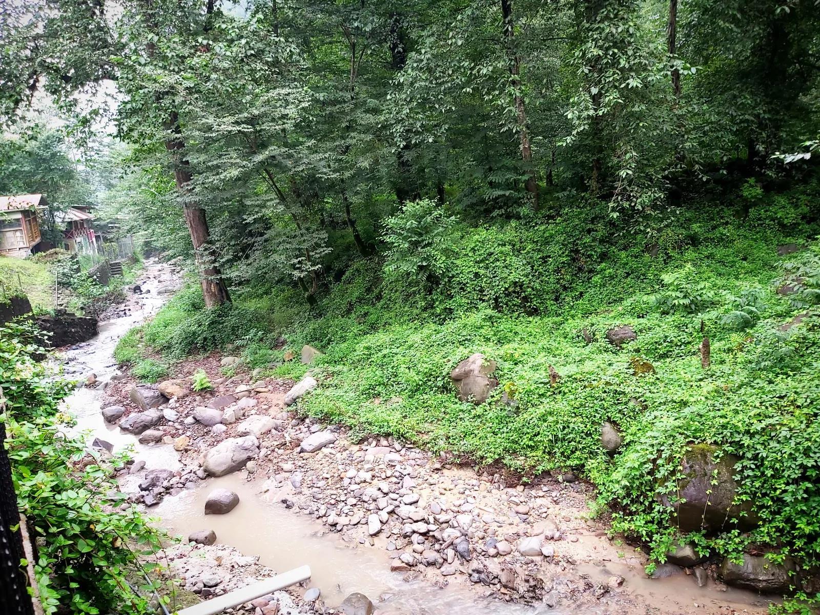 کلبه سوییسی بیشه شیرگاه