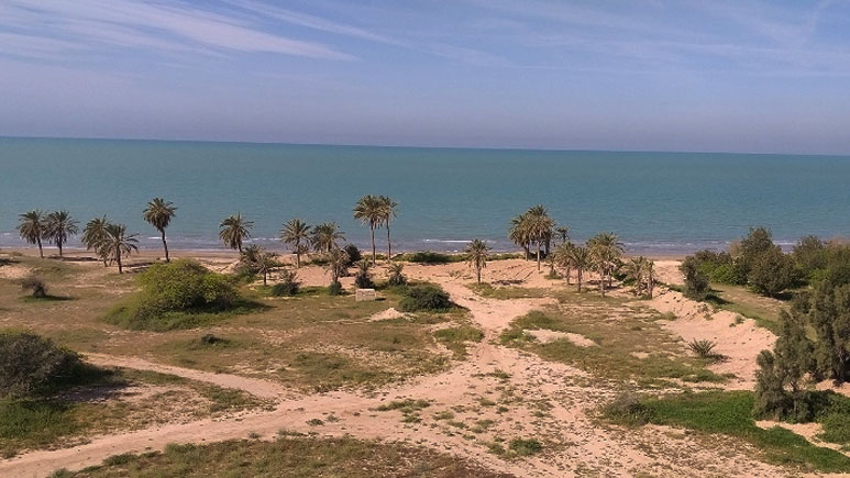 ساحل بندر امام حسن